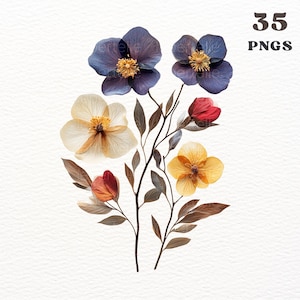 Paquete de 35 pegatinas digitales de flores prensadas PNG, estilo álbum de recortes, pegatinas florales vintage de Goodnotes, transparentes, para diario basura