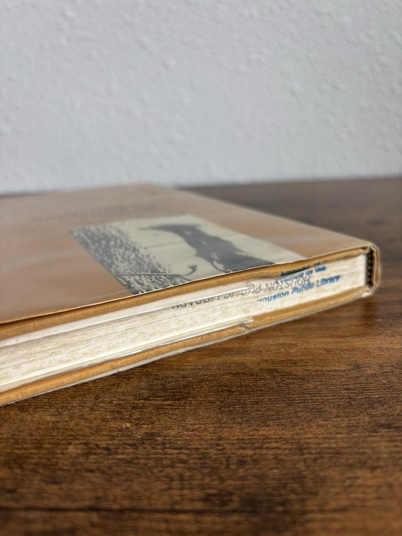 Anatomy of a Lynching Mcgovern 1982 Hc W/ Dj Claude Neal First Edition ...