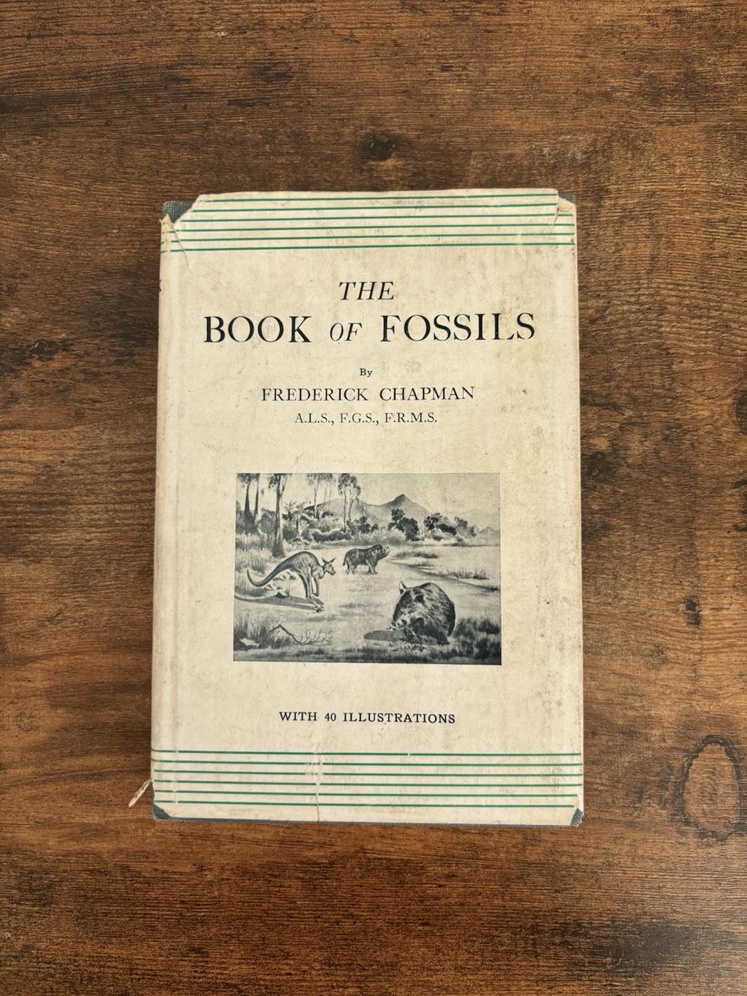 The Book of Fossils Frederick Chapman 1934 Sydney Illustrated 1st Ed W ...