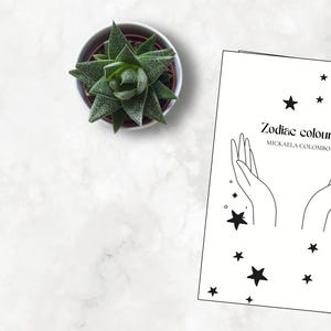 SP - Zodiac Colours | ¡Añádelo al carrito, completa tus datos, espera la confirmación de pago y descarga para disfrutar coloreando!