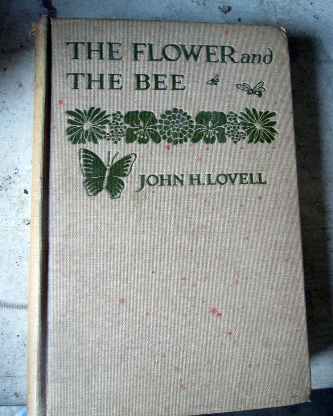 The Flower and the Bee Rare First Edition 1918 - Etsy