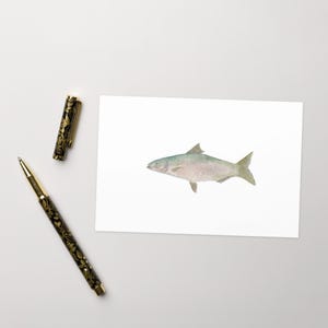 Biglietto d'auguri con pesce shad dell'Alabama in acquerello