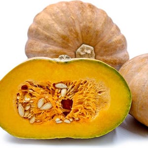 12 frön av Texas Indian Muscat Squash (arvssort) – Grönsaksfrön, Moschata Squash, Trädgårdsfrön