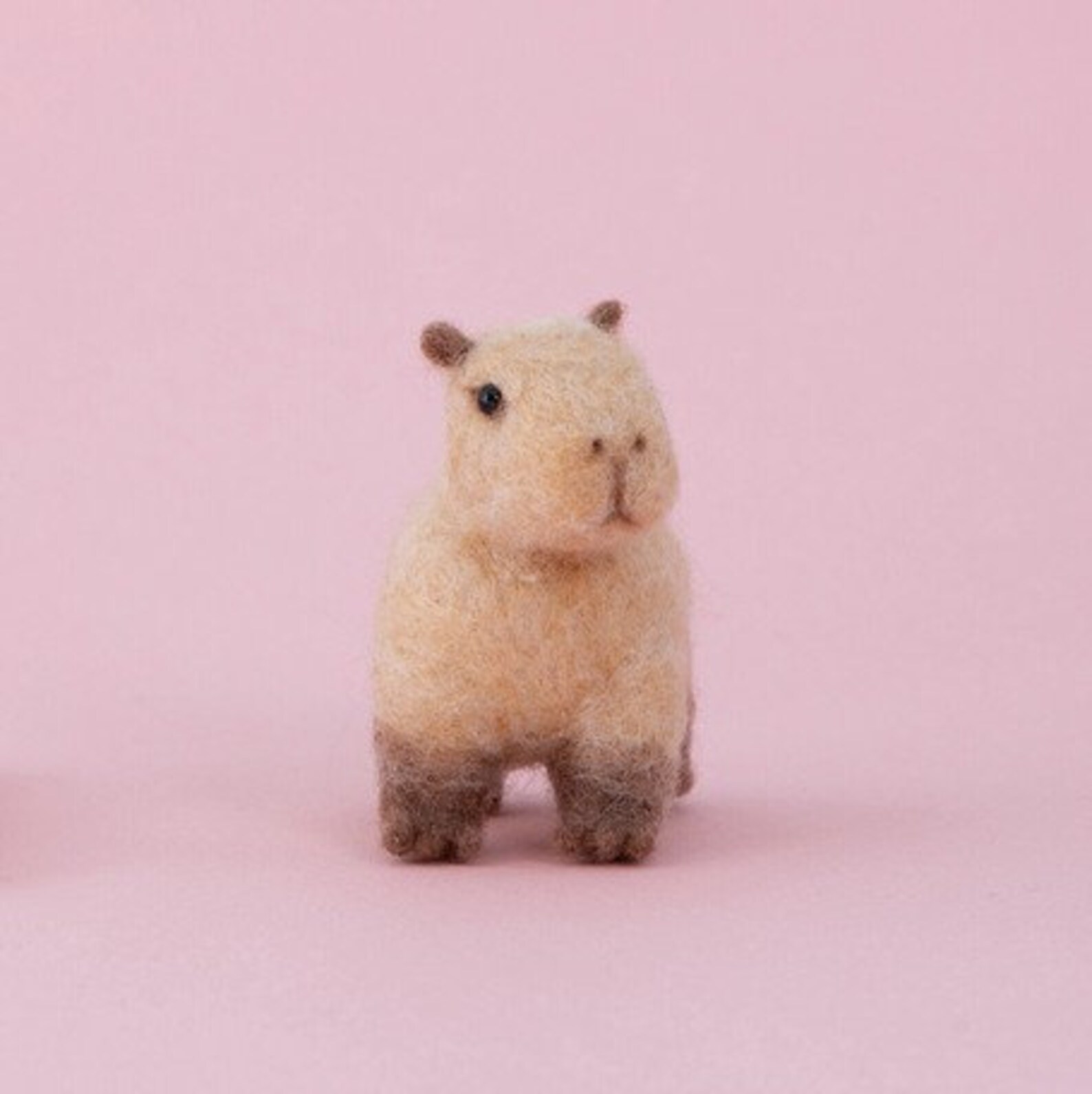 Japanese Hamanaka Capybara Needle Felting Wool DIY Kit Cute Etsy