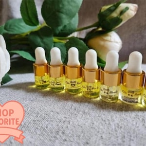 Mini Perfume Oil Discovery Set: Seven Vegan Scented Fragrances