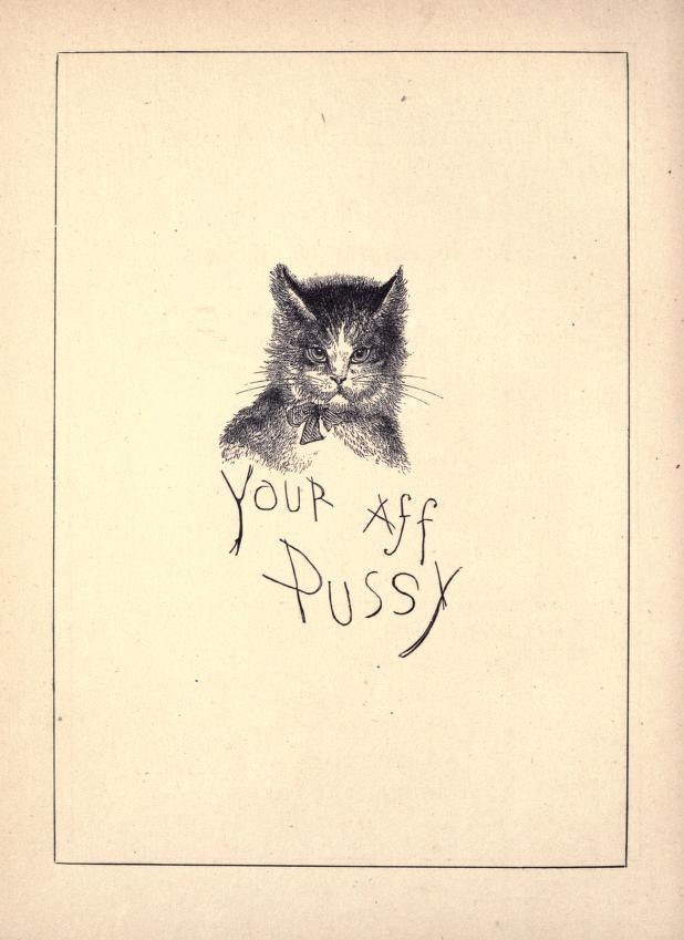 Letters From A Cat 1879 - Etsy