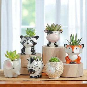 Puede incluir: Una colección de macetas de cerámica con forma de animales, incluyendo un mapache, una vaca, un zorro, un elefante, una cebra y una oveja. Cada maceta contiene una pequeña planta suculenta. Las macetas son blancas, negras, naranjas y beige.