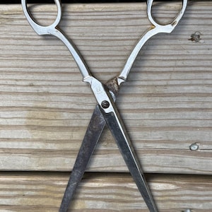 May include: A pair of vintage metal scissors with oval finger loops and pointed blades. The metal shows signs of oxidation and wear, with a central screw holding the two blades together. The surface of the blades is dark and textured from age.