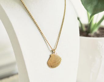 Gold Shell Pendant Necklace | Ava Necklace | Large Shell Pendant Chain | Coastal Jewelry | Shell Jewelry | Beach Necklace | Gold Necklace