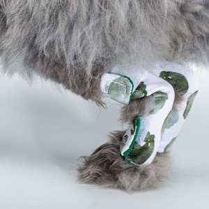 以下が含まれることがあります： 葉っぱ柄の白と緑の足保護具をつけた、灰色のふわふわした犬のクローズアップ。