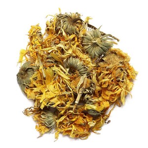 Calendula Flower