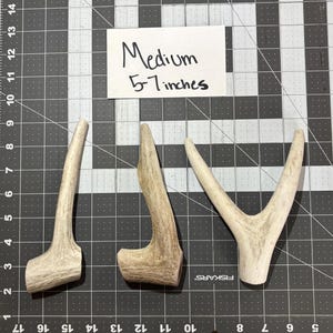 Medium Deer Antler Dog Chew: Natural, Long-Lasting Dental Treat