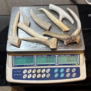 Natural Deer Antler Dog Chews: Long-Lasting, Healthy Treats (1 Pound)