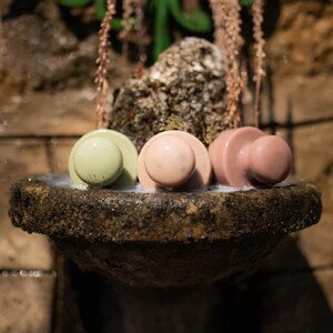 May include: Three decorative soap bars in a stone basin. The soaps are light green, light pink, and mauve. The soaps have a circular top and a rounded base. The basin is filled with a milky liquid, and the background features a stone wall and greenery.