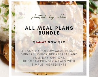 All My Meal Plans-BUNDEL: voordelige budgetvriendelijke gezinsmaaltijden