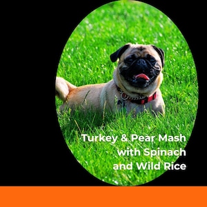 Turkey and Pear Mash with Spinach and Wild Rice – Homemade Dog Food Recipe | Clean, Antioxidant-Rich, Vet-Inspired PDF Download