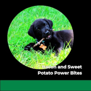 Bacon & Sweet Potato Power Bites – Healthy Dog Treat Recipe | Homemade, Vet-Inspired, PDF Download for Clean Feeding
