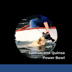 Salmon & Quinoa Power Bowl – Gourmet Dog Food Recipe | Omega-Rich, Holistic, Easy PDF Download