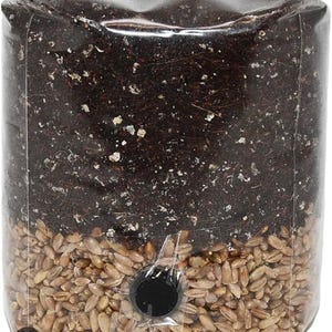 All in One Grow Bag