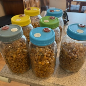 Puede incluir: Siete tarros de vidrio con tapas amarillas, verdes y azules. Cada tarro contiene granos de maíz amarillos. Las tapas tienen círculos rojos y blancos en la parte superior.