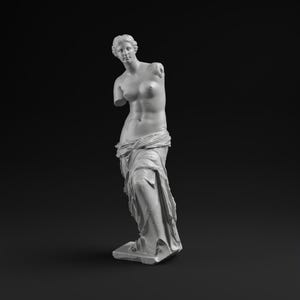 May include: A white plaster statue of Venus de Milo, a classical sculpture. The statue is missing both arms and stands on a rectangular base. The figure is draped in fabric around the lower body, with a detailed depiction of the torso.