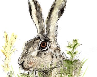 Print of watercolour painting of a hare
