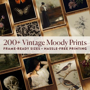 Dark Academia Moody Prints Bundle | 220 Vintage Gothic Oil Paintings, Dark Boho Art, Classical Nature Wall Gallery, Digital Download Decor