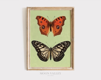 Vintage Butterfly Print | Botanical Insect Art, Green Cottagecore (Digital Download)