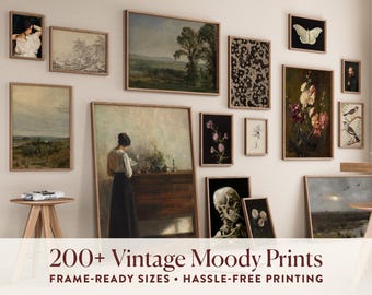 200+ donkere academische prints | Gotische, heksachtige vintage kunst (digitale download)