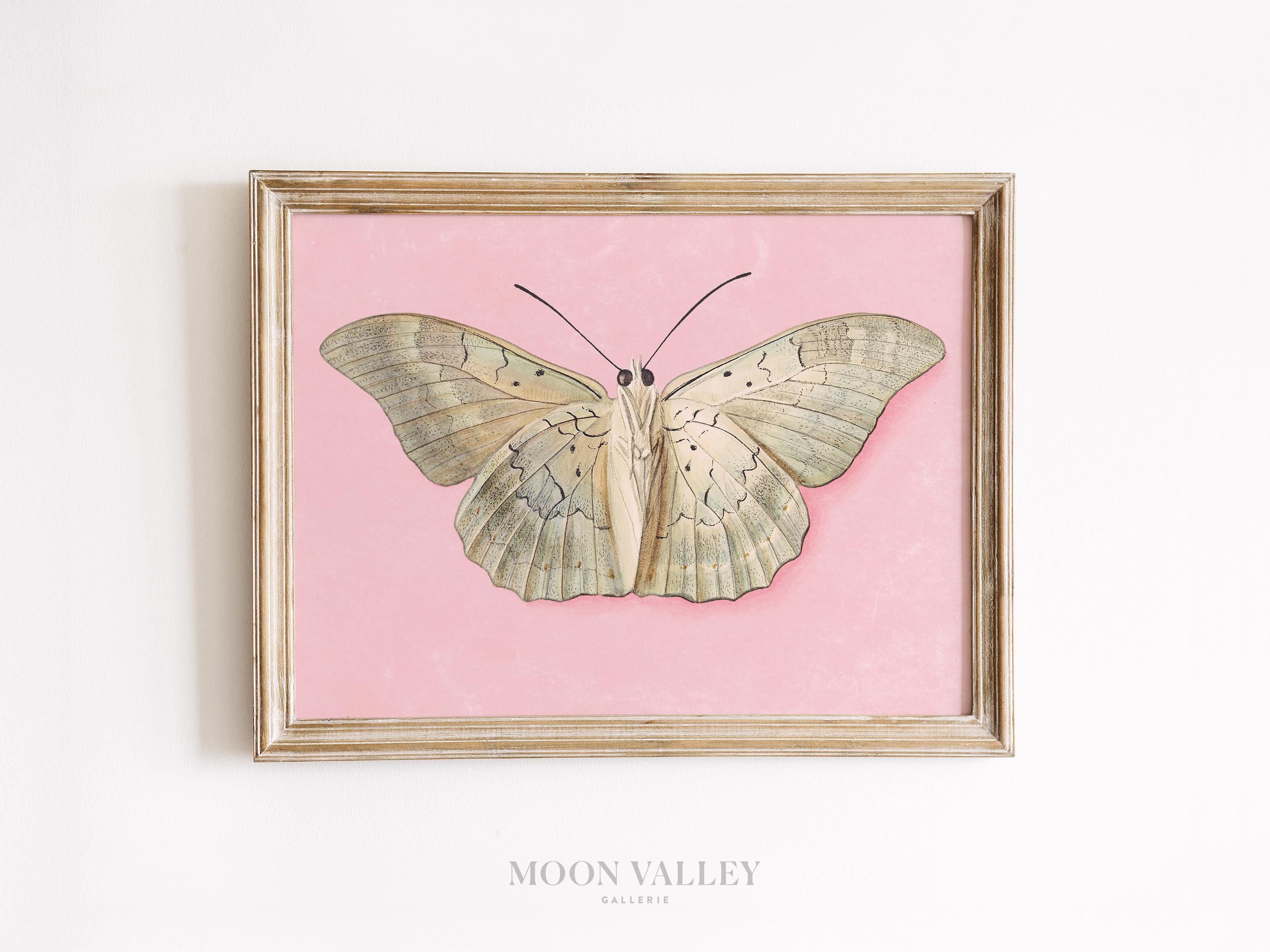 Pink Butterfly Art Print | Botanical Wall Decor | Vintage Insect Poster | Printable Nature Download | Cottagecore Wall Art | Feminine Print