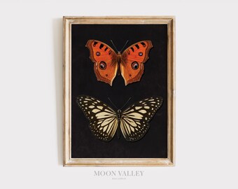 Vintage Butterfly Printable Wall Art | Natural History Insect Illustration, Dark Academia Butterflies Print, Dark Entomology Decor Download