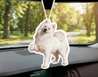 Custom Picture Air Freshener, Photo Car Freshie, Personalized Car Scent, Dog Cat Pet Memorial, Anniversary Gift, Stocking Stuffer