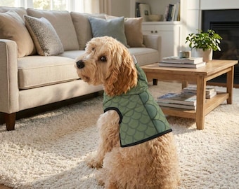 Hunde Dino Hoodie, Dino Hundekleidung, Warmer Hundepullover, Benutzerdefinierte Hunde Hoodie, Hundejacke, Dino Fleece-Hunde Hoodie