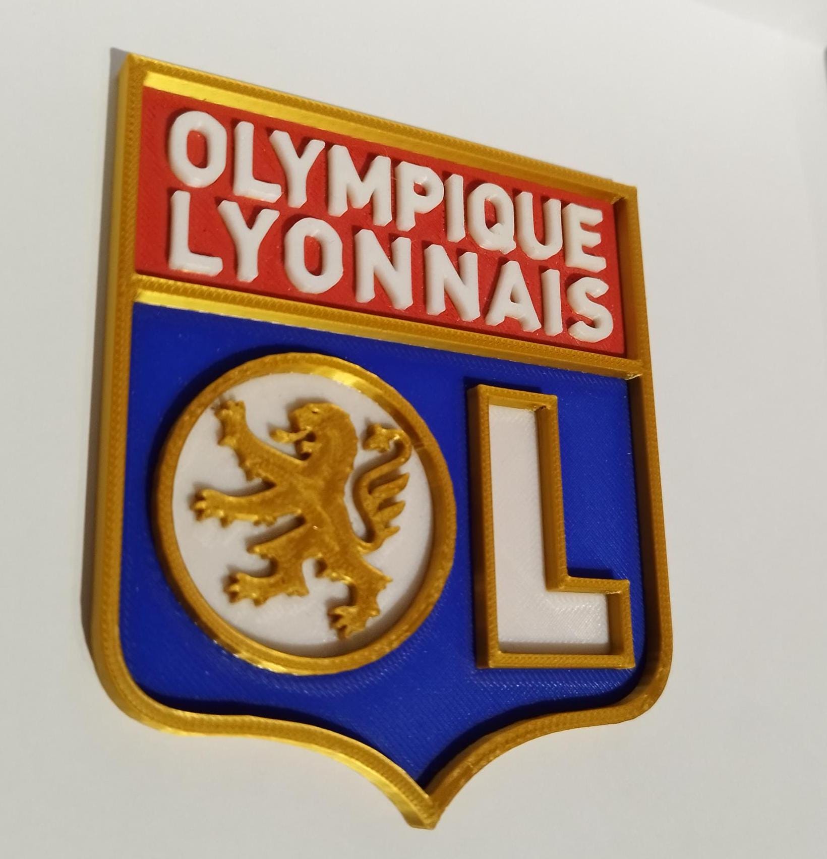 M2A Group - Olympique Lyonnais