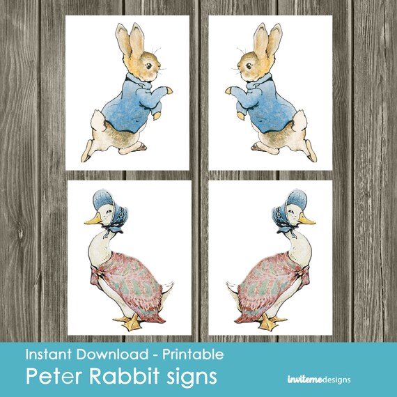 Peter Rabbit Baby Shower Peter Rabbit Birthday Peter Rabbit | Etsy
