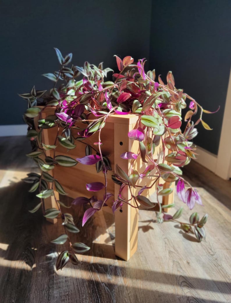 Raised Cedar Planter Box - Easily Collapsible for Storage! - Etsy