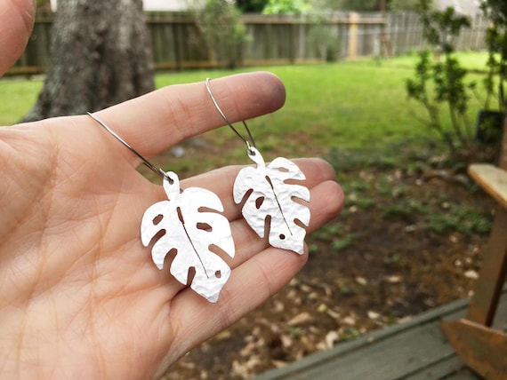 ghost philodendron Philodendron 'Florida Ghost'