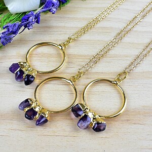 Amethyst Nugget Circle Necklace: Gold Plated Gemstone Pendant