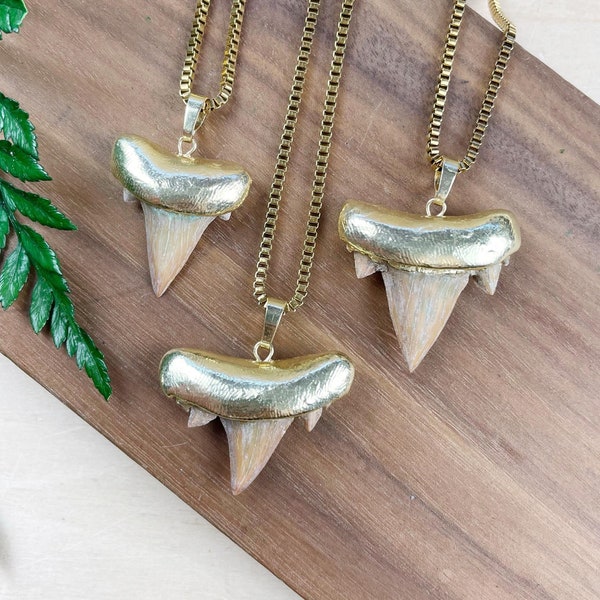 Gold Shark Tooth Necklace (EPJ-NAWA42)