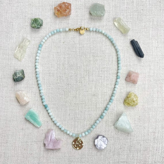 Amazonite Snake Charm Beaded Necklace (EPJ-NSBA43)