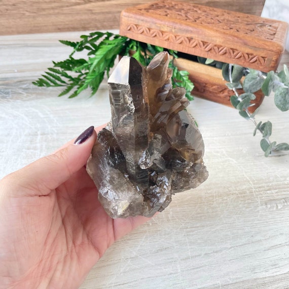 Smoky Quartz Crystal Cluster (EPJ-HDSA25-2)