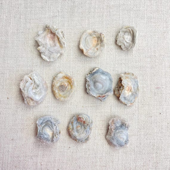 Natural Chalcedony Druzy Rosette (EPJ-HCAA46)