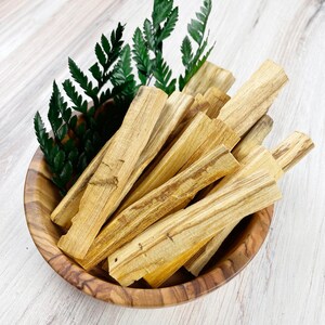 May include: A wooden bowl filled with light brown palo santo sticks. Green fern-like leaves are tucked around the sticks. The bowl has a natural wood grain pattern. The sticks have a light, natural color with visible wood grain.