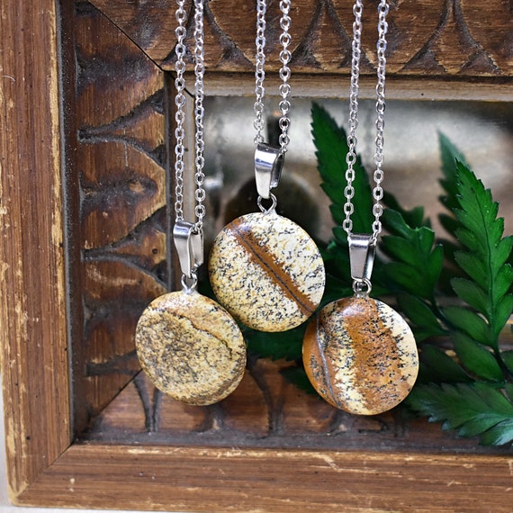 Picture Jasper 20mm Round Necklace, Silver Gemstone Necklace, Layering Statement Necklace (EPJ-NW20ADA13)