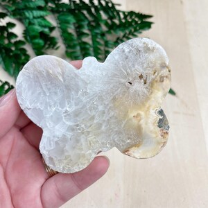 K&ouml;nnte beinhalten: Ein wei&szlig;er Achat-Schmetterling in Kristallform mit einer nat&uuml;rlichen, rohen Kante. Der Kristall hat eine durchscheinende wei&szlig;e Farbe mit einigen braunen und grauen Einschl&uuml;ssen.