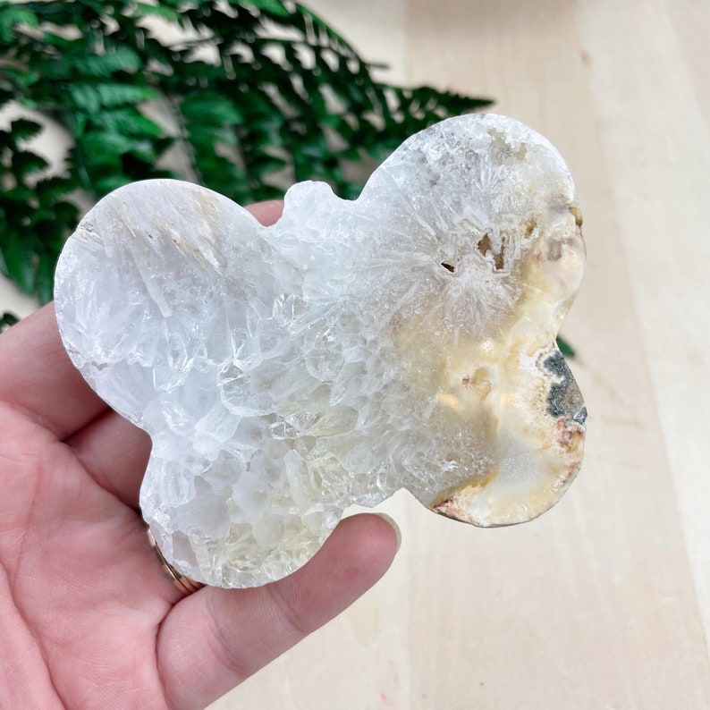 K&ouml;nnte beinhalten: Ein wei&szlig;er Achatkristall in Form eines Schmetterlings mit einer braunen und wei&szlig;en Mitte. Der Kristall ist durchscheinend und hat eine raue Textur.