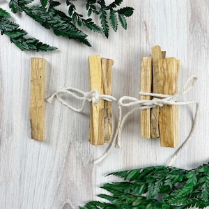 May include: Three bundles of Palo Santo wood tied with white twine, arranged on a light wood-grain surface. Green fern and leaf accents frame the bundles. The wood has a light brown color.