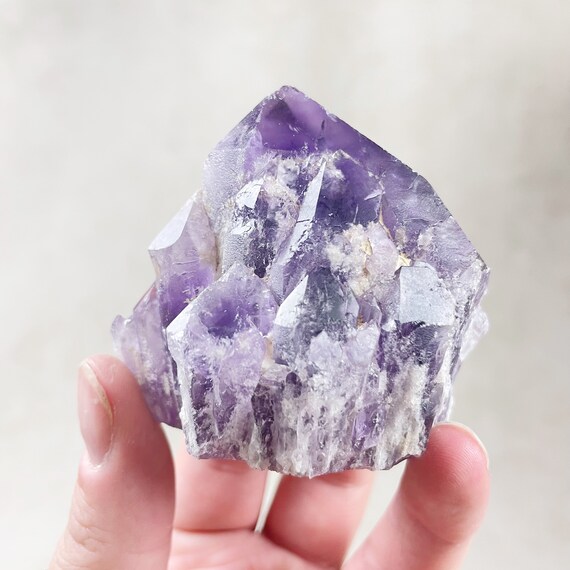 Amethyst Root Freeform Cluster (EPJ-HDF17-5)