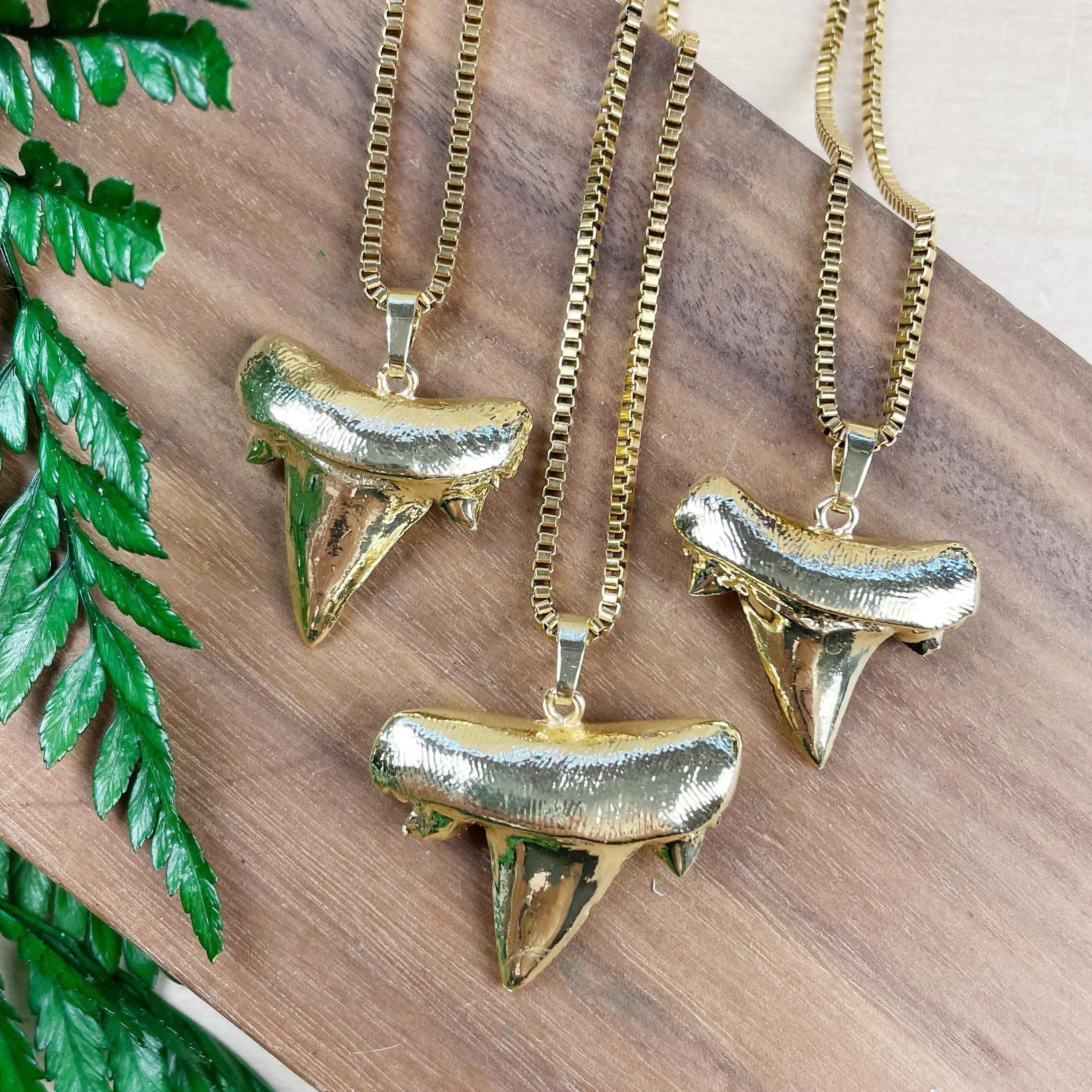 Full Gold Shark Tooth Necklace EPJ NAWA43 Etsy