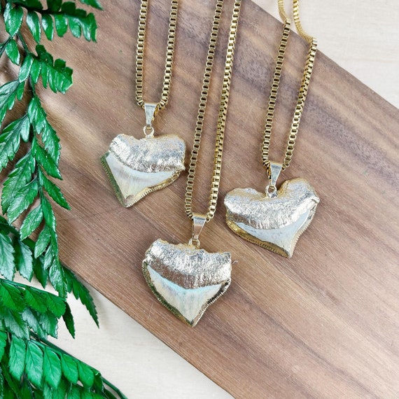 Gold Shark Tooth Necklace (EPJ-NAWA44)